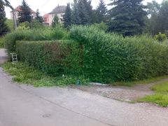 hecke2